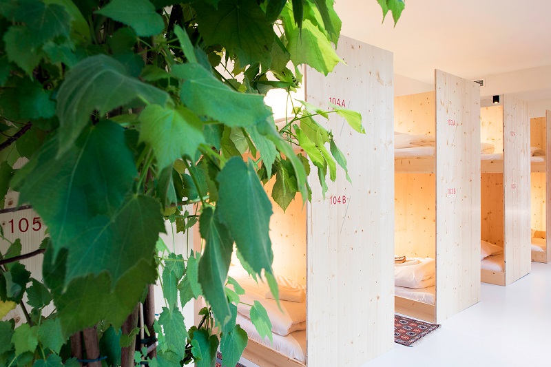 Gedeelde kamer met stapelbedden in groene ruimte - The Green Elephant Hostels