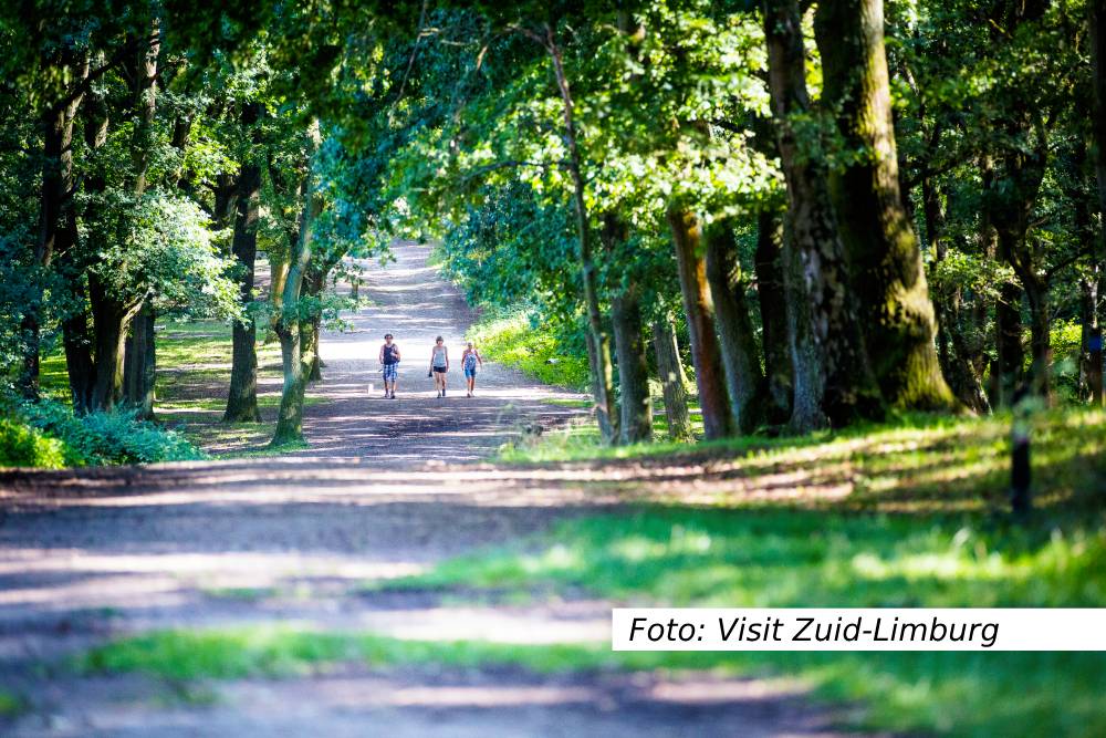 Wandelen in het bos - Visit Zuid-Limburg