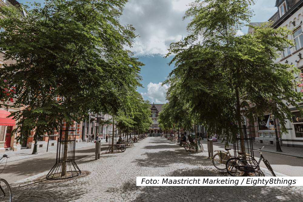 The Green Elephant Hostel Maastricht Arrangementen Wellness